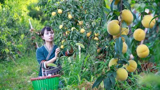 Big and sweet yellow peaches , cooking all kinds of delicious food把又大又甜的黃桃，做成各種各樣的美食丨Lizhangliu