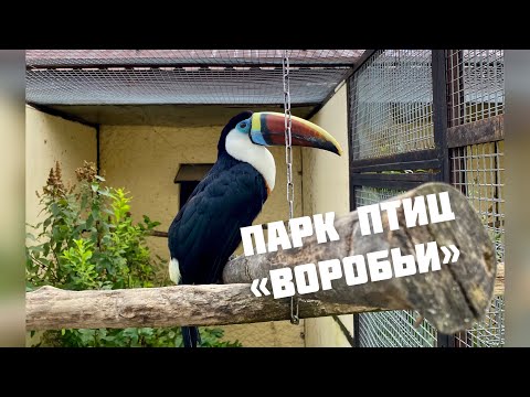 Куда поехать в выходные? Парк птиц 