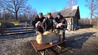 ЗАВАЛИЛ ПЕРВОГО КАБАНЧИКА. МОЯ ЖИЗНЬ в ГЛУХОЙ ДЕРЕВНЕ в ЛЕСУ. №286