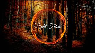 AckorensenD - Night Forest