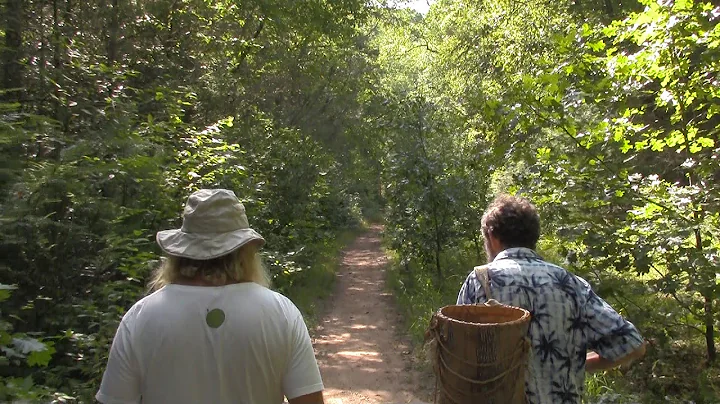 Wild Foraging Weekend with Doug Elliott & Ken Crou...