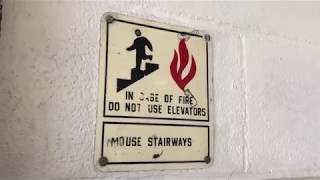 Massart Freshman Year