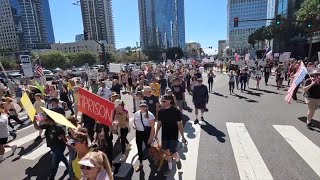 Thousands march in second 'No Kings' protests across San Diego County