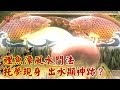 鯉魚潭風水鬥法 托夢現身 出水顯神跡？《現代啟示錄精華》