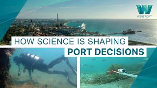 How marine science is shaping Westport and the future of Cockburn Sound
