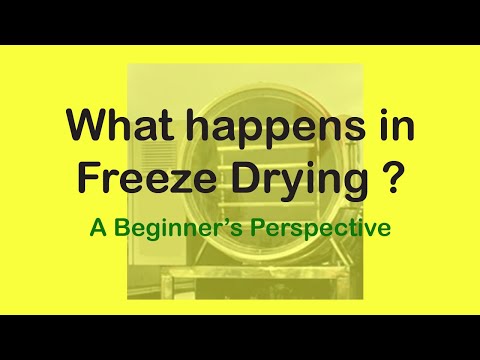 How Freeze Dryer works I Basics of freeze Drying I What happens inside a Freeze Dryer I