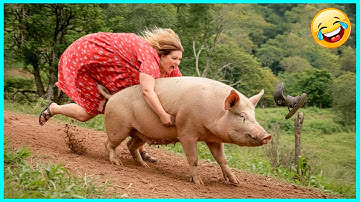 TRY NOT TO LAUGH 😂 Funny Fails Video Compilation🤭People Being Idiots #101