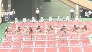 矢澤航 男子 110mハードル 決勝 全日本インカレ2013