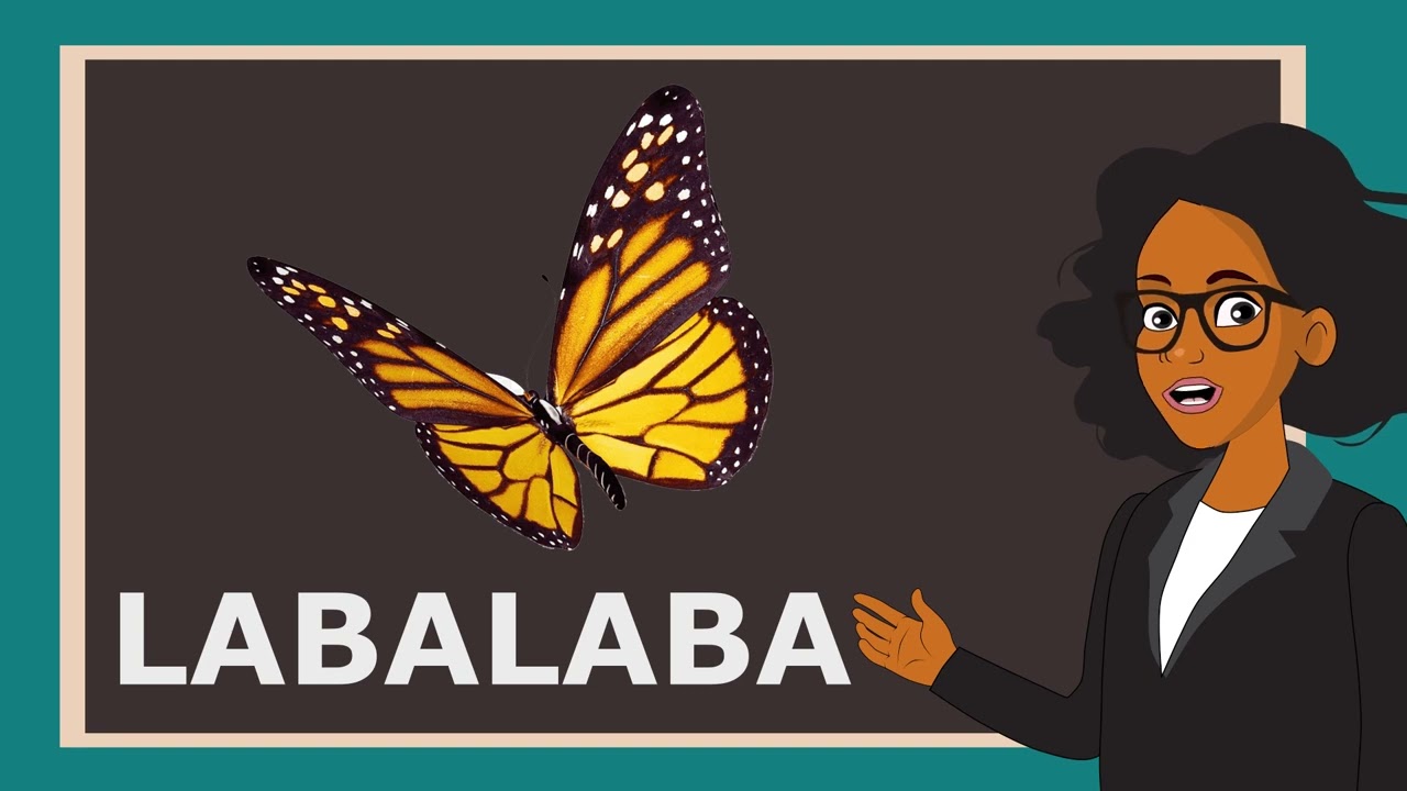 Names of Animals in Yoruba language for kids.