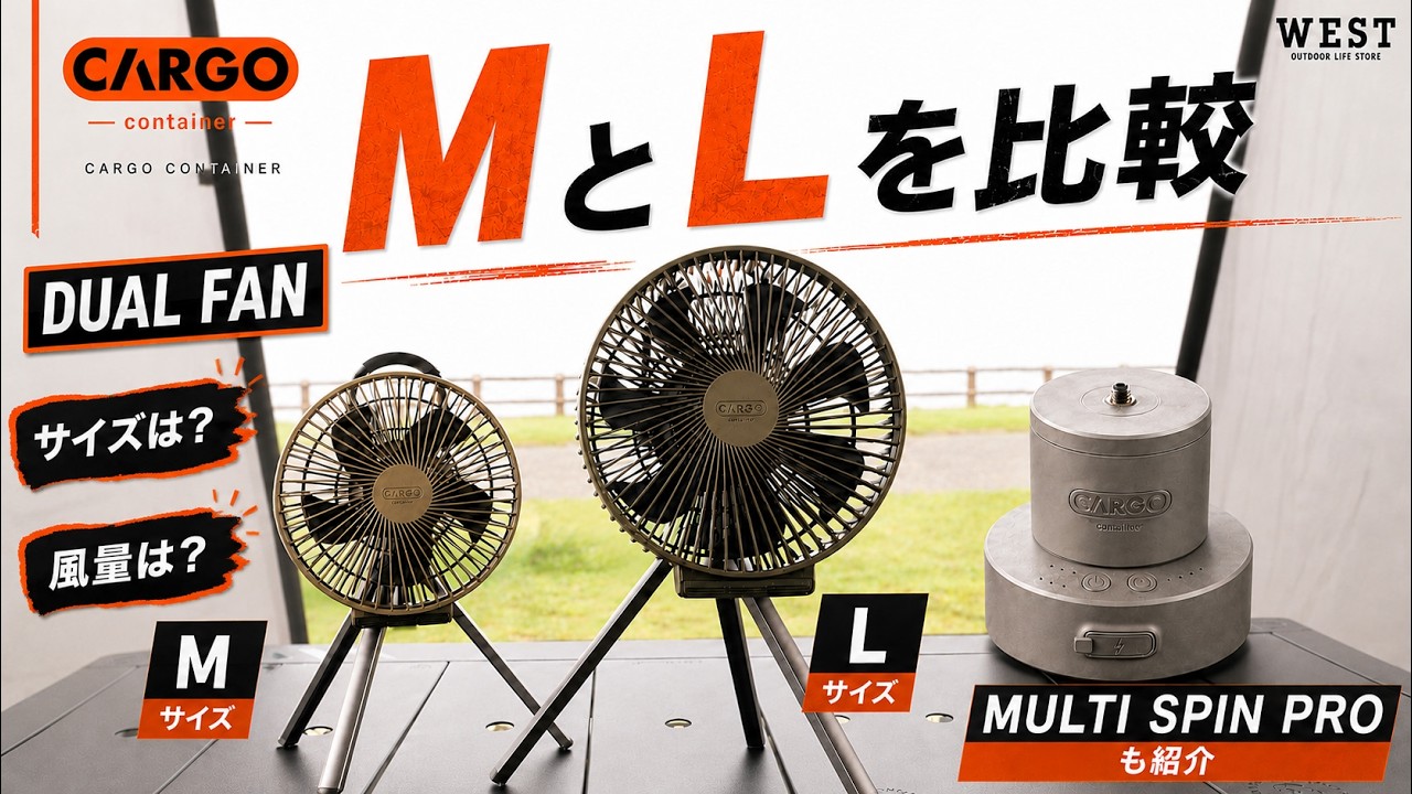 What's the Difference Between M and L? Comparing the CARGO