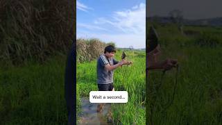 🐟 Biggest Catch of the Day!#fishing #fish #angler #shorts #viral #fyp #usa