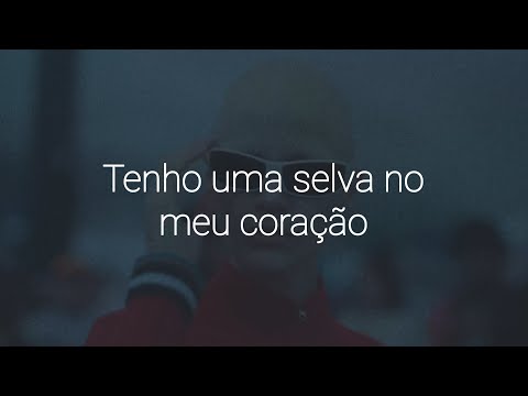 Alok (feat.The Chainsmokers & Mae Stephens)- Jungle | Tradução e Lyrics