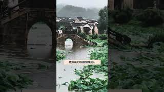 Discover Southern Anhui's Hidden Gems: Family Business Tour in Yangzi, China