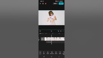 ❤ How to Remove Watermark from Video with/without CapCut（2023） | NEW UPDATE