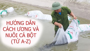 Kỷ thuật Ương và nuôi cá Bột (Từ A-Z) 0939790606