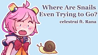 Where Are Snails Even Trying To Go?