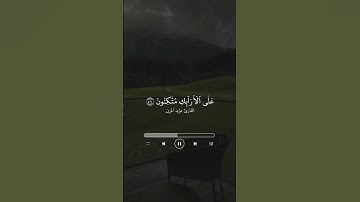 القارئ مؤيد المزين .