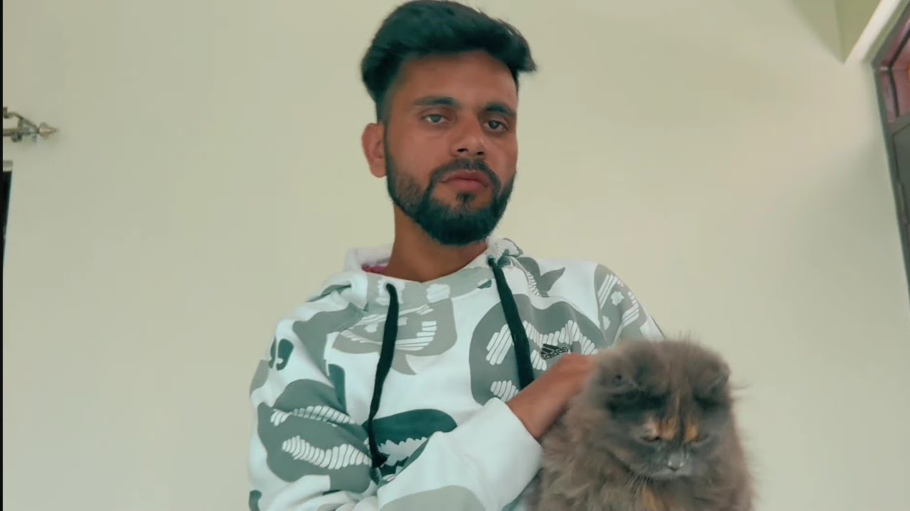 FARLEES - Peace ( Official Music Video )