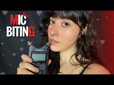 ASMR Sons de Boca e Hand Movements no TASCAM DR-40x (Mic biting)