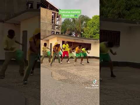 Africa Hakuna Matata Hakunamatata Marioo Love Music 