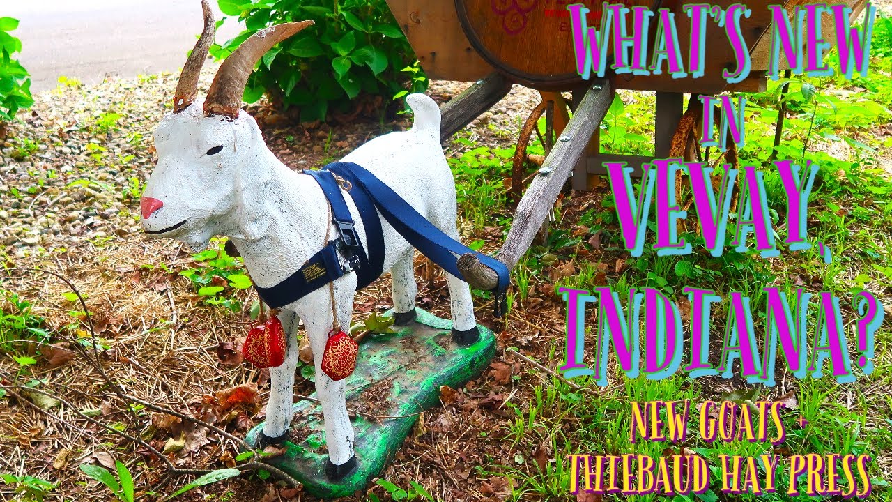 What’s New in Vevay, Indiana? New Goats + Thiebaud Farmstead Hay