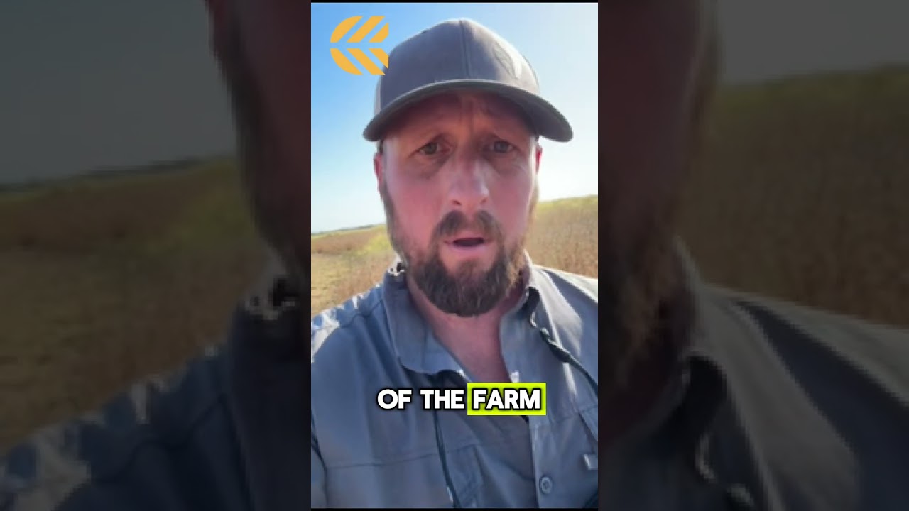 My Farmland Is Worth How Much????