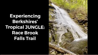 Race Brook Falls Trail with Kids