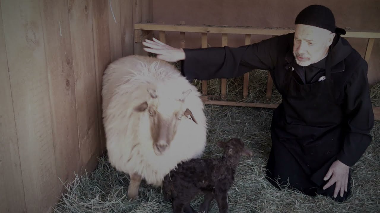 Monastery of Christ in the Desert: Abbot Christian and the New Lamb