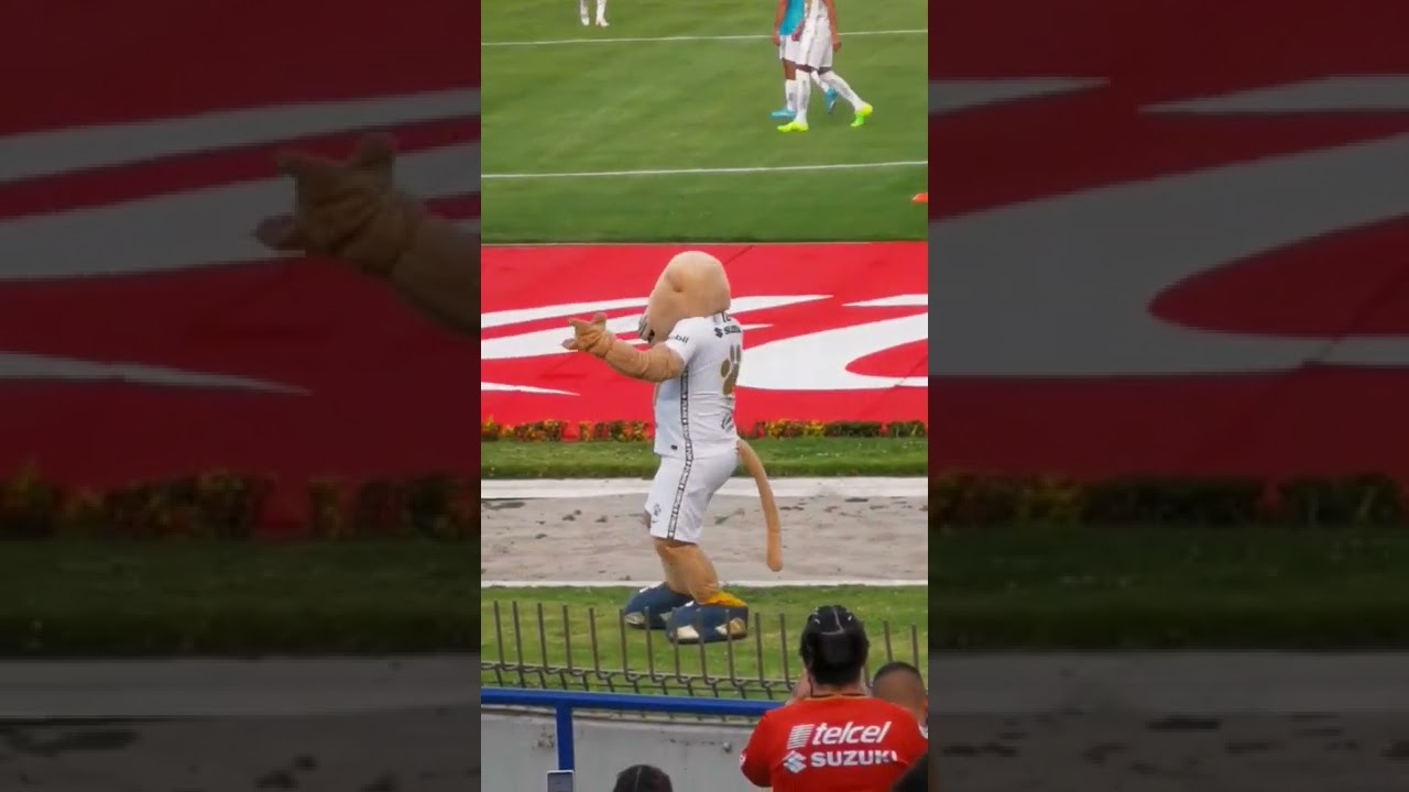 Goyo Puma sacando los pasos prohibidos 🥵