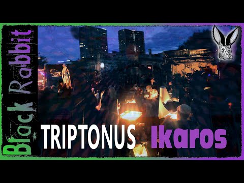Triptonus - Ikaros | Live at Black Rabbit (Arena Beisl Bierwoche 2024)