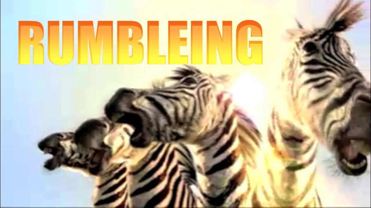 Tumble In The Jungle Music Video