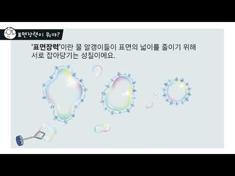 안다과학 4호3단계3주 탐구하기