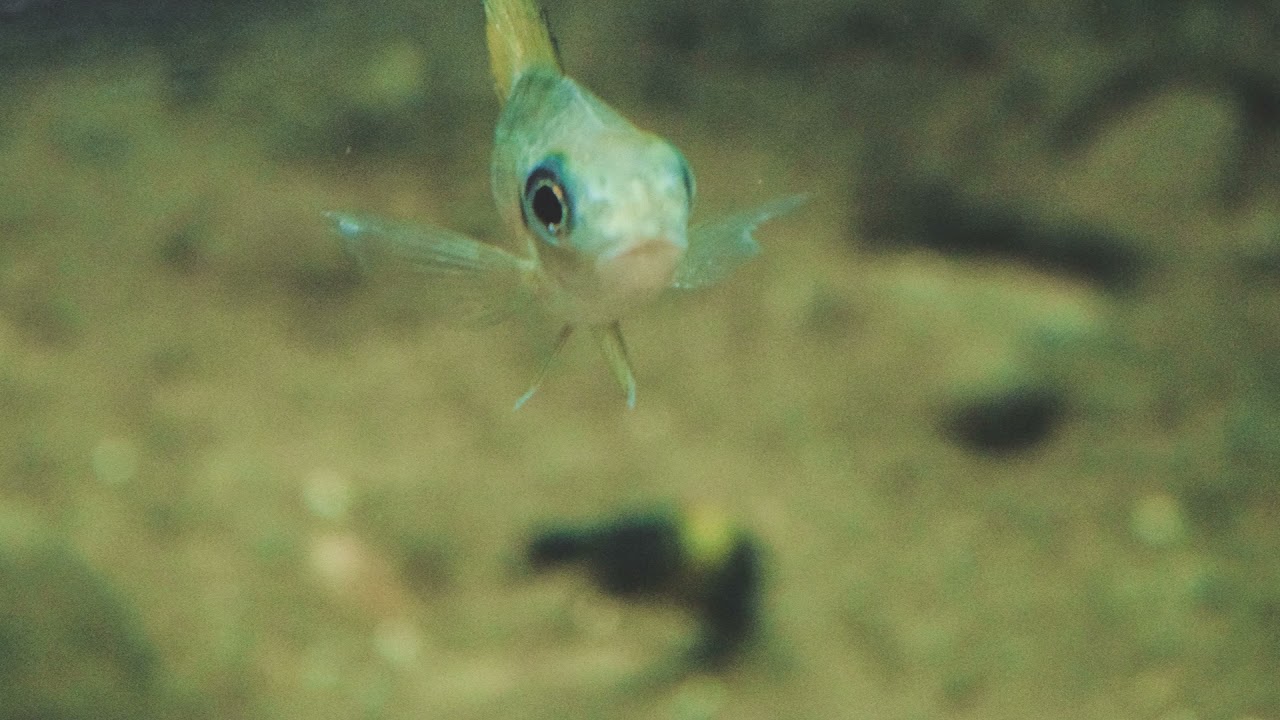 CLUTCH -  Boombap Type Beat (ON SALE) Prod. Km Studios