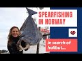 Spearfishing in Norway. Halibut. Подводная Охота в Норвегии. Палтус