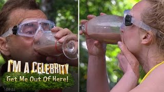 Croc Creek Win Gruesome Blended Bugs Drinking Challenge | I'm A Celebrity... Get Me Out Of Here!