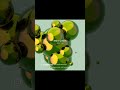 don't use pure green #graphicdesign #colors #designerinspiration #green   #design #colorpalette