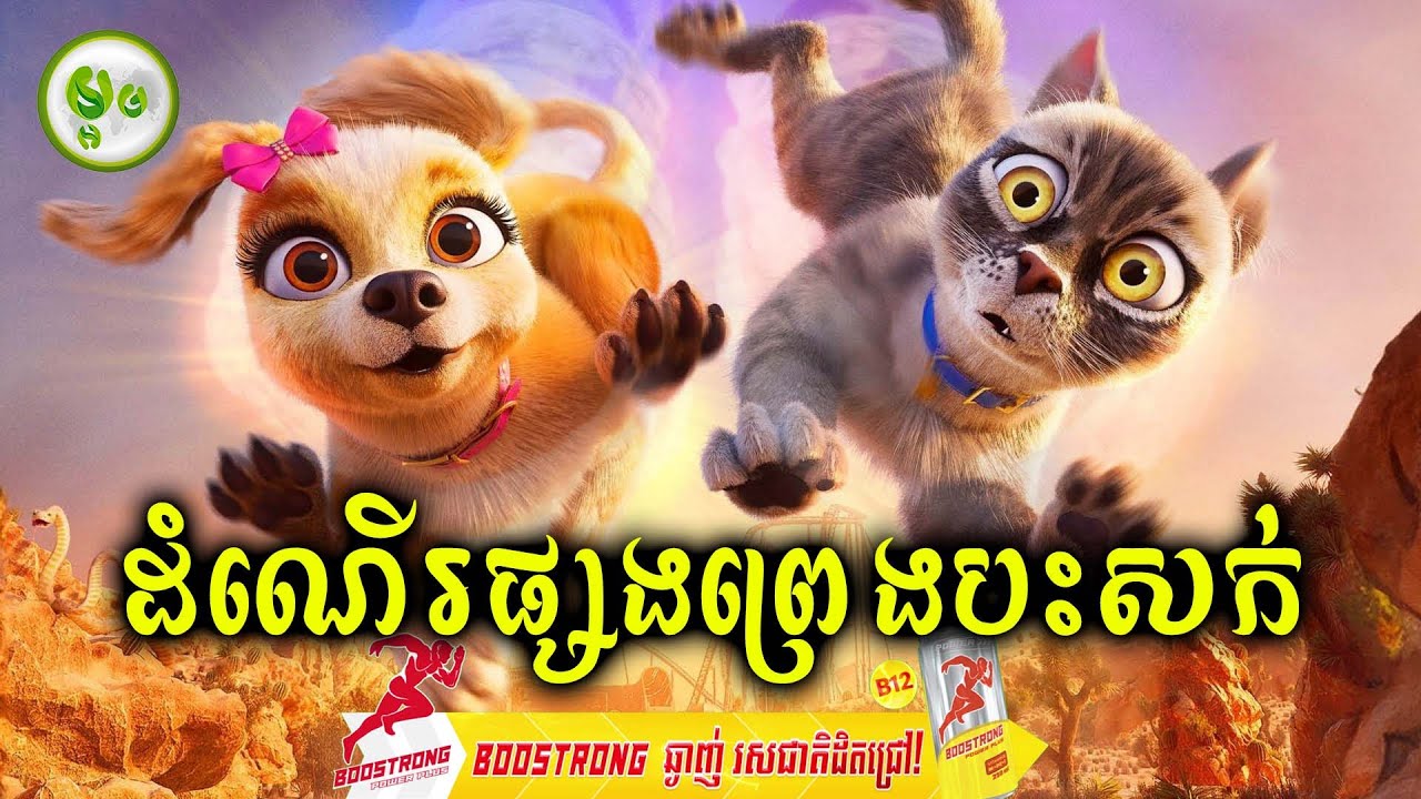 ឆ្កែឆ្មាផ្សងព្រេងបះសក់ទៅរកផ្ទះ | ម្អម សម្រាយរឿង