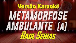 Raul Seixas - Metamorfose ambulante - Karaokê