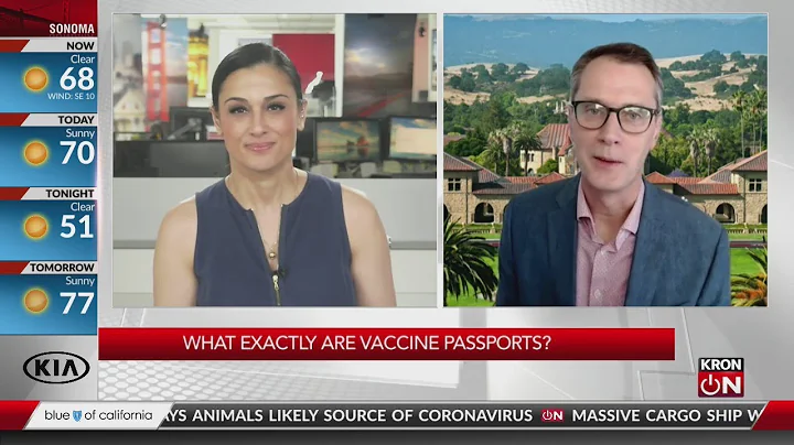What exactly are vaccine passports?