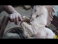 Wood Carving Horse | How to Make Wooden Horses | Amazing DIY Wood