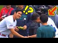大谷が握手待ちの通訳さんを見た次の瞬間・・「大スターなのに凄すぎる」MLBファンも大絶賛だわ！【shohei ohtani】