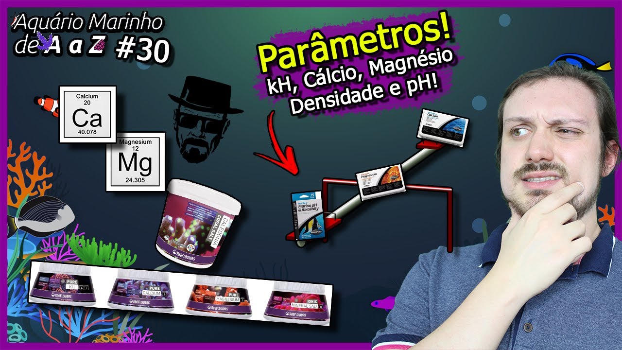 TUDO Sobre kH, Cálcio, Magnésio, Densidade e pH - Parâmetros - Aquário Marinho de A a Z #30