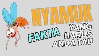 FYI | 5 Fakta Menarik Nyamuk