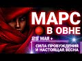 МАРС В ОВНЕ 🔥🔥🔥 БЕШЕННАЯ ЭНЕРГИЯ ПРОБУЖДЕНИЯ ⚡️25 МАЯ - 5 ИЮЛЯ ✨️ ПРОГНОЗ АСТРОЛОГА ДЛЯ ВСЕХ ЗНАКОВ