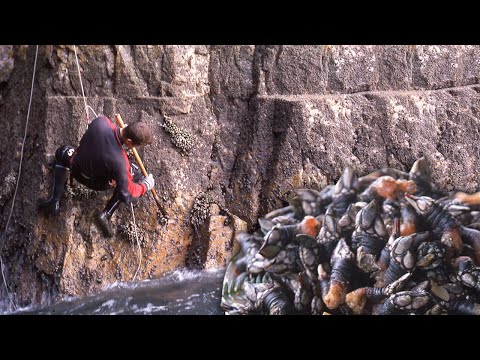 Video: ¿Cómo se forman los surcos en un acantilado?