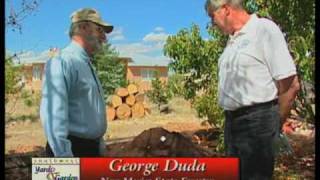 How To Recycle Coffee Grounds Into Compost