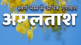 Shower Tree Rain Indicator JadiButi Store