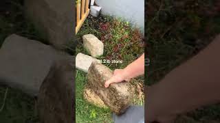 Real world grip challenge. 31.5 lb stone one hand lift. Test your functional strength