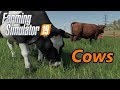 Farming Simulator 19 Tutorial | Cows