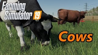 Farming Simulator 19 Tutorial | Cows